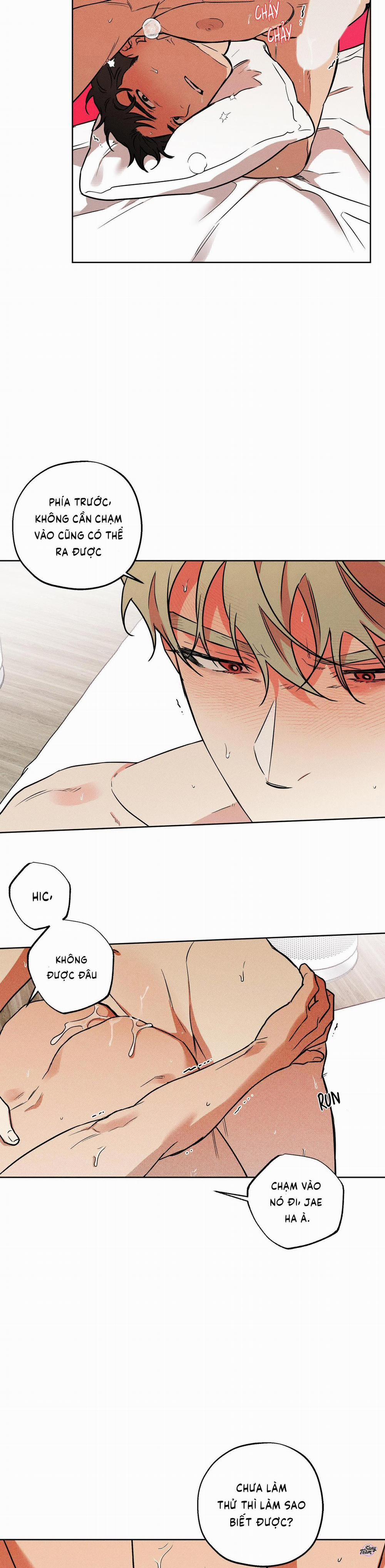 Tình Yêu Trong Sáng Có Gì Sai 9 trang 17