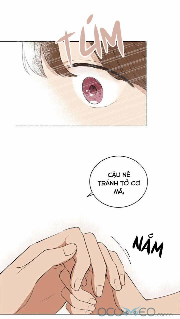 Tình Yêu Tuổi Trẻ 41 trang 19