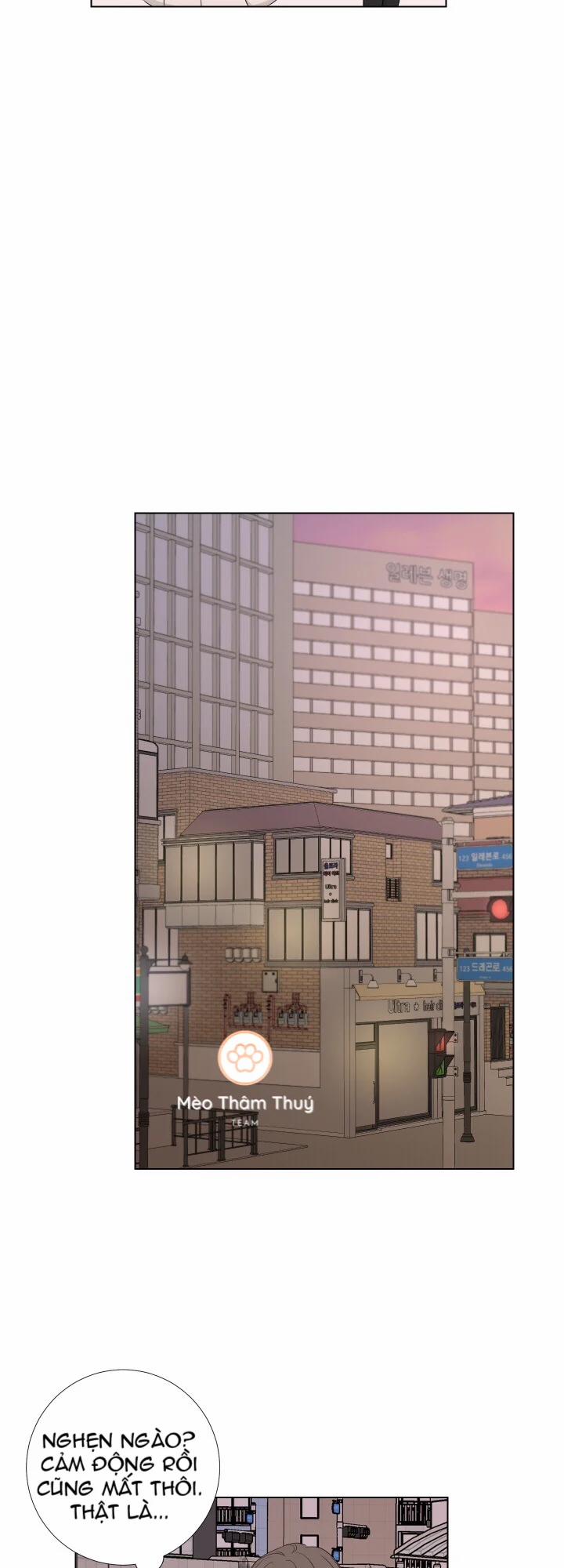 Tình Yêu Và Đam Mê 11 trang 21