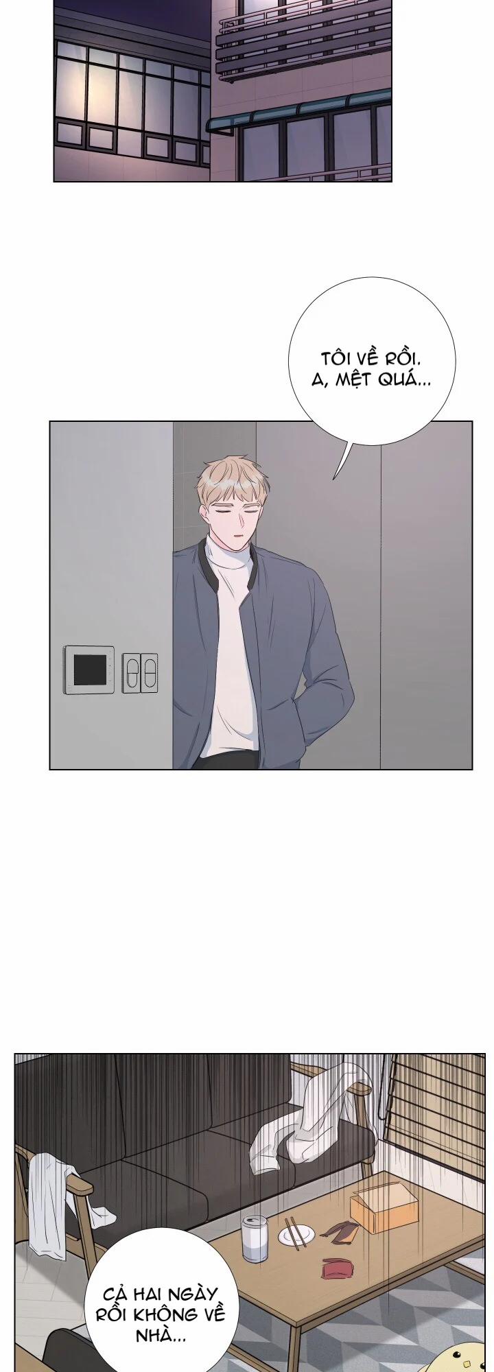 Tình Yêu Và Đam Mê 11 trang 27