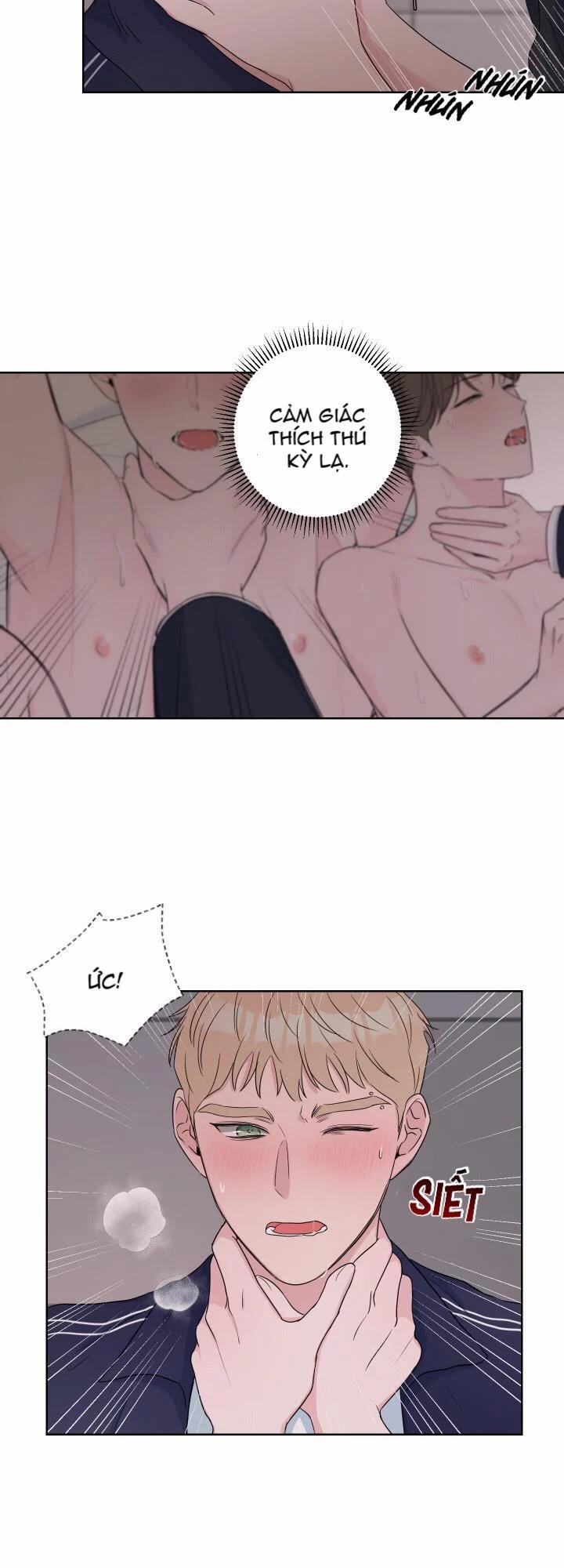 Tình Yêu Và Đam Mê 13 trang 14