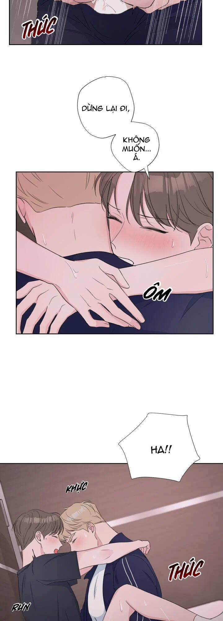 Tình Yêu Và Đam Mê 13 trang 26