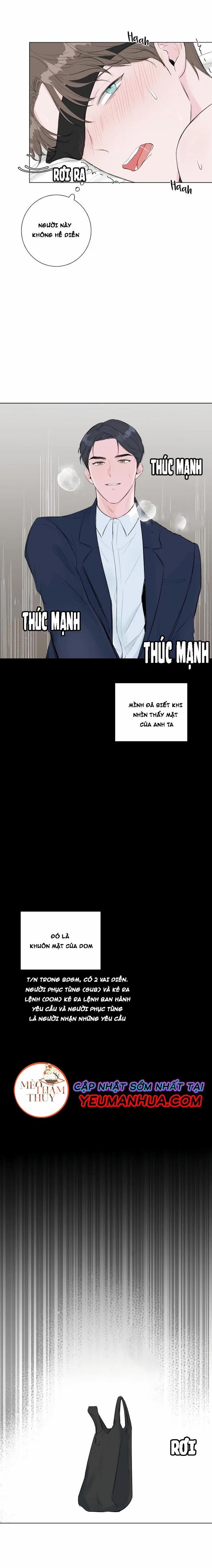 Tình Yêu Và Đam Mê 2 trang 11