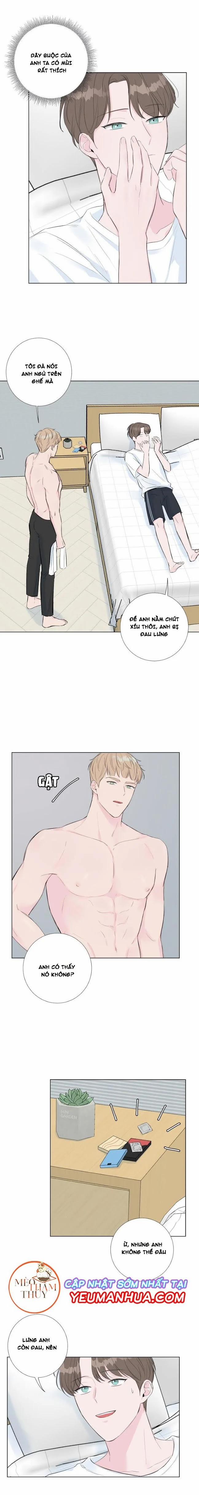 Tình Yêu Và Đam Mê 3 trang 11