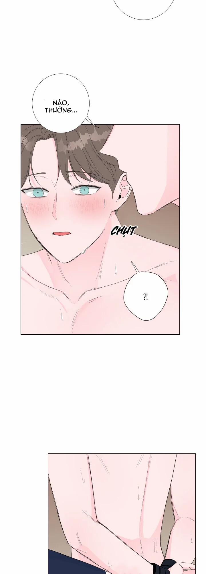 Tình Yêu Và Đam Mê 8 trang 19