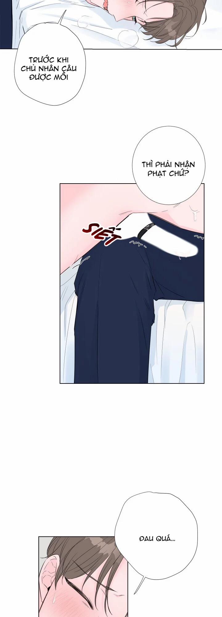 Tình Yêu Và Đam Mê 8 trang 4