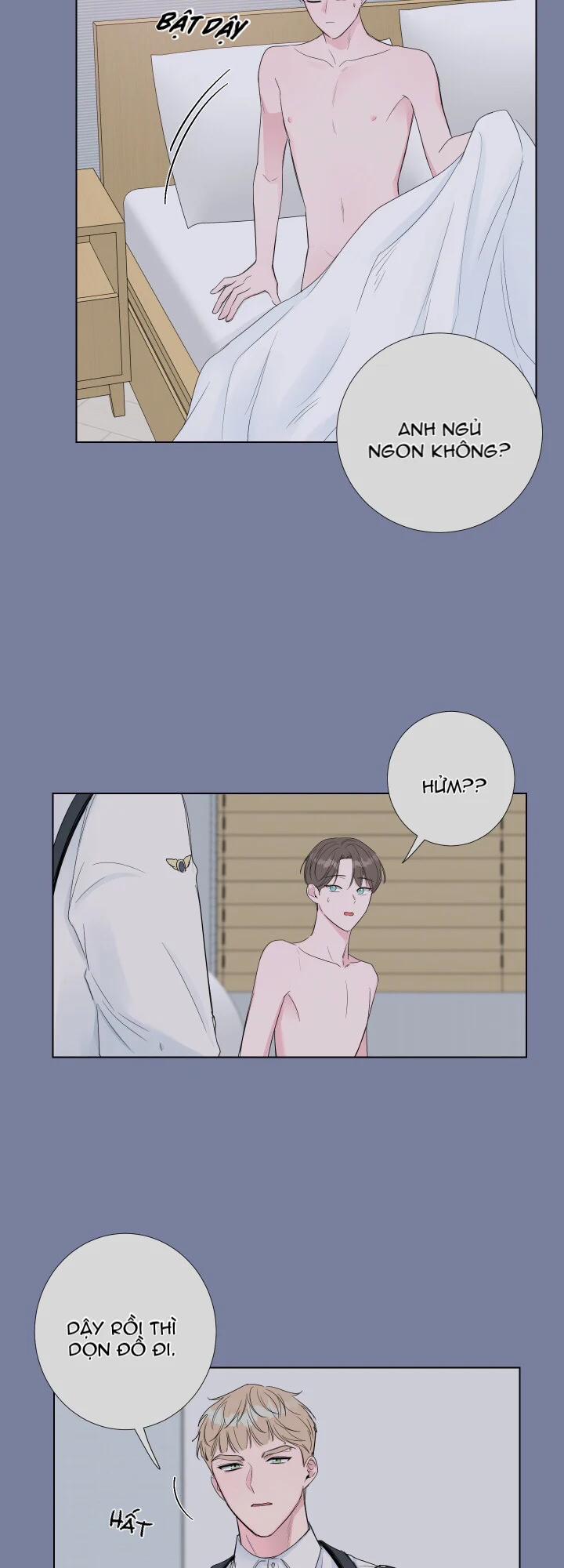 Tình Yêu Và Đam Mê 9 trang 2