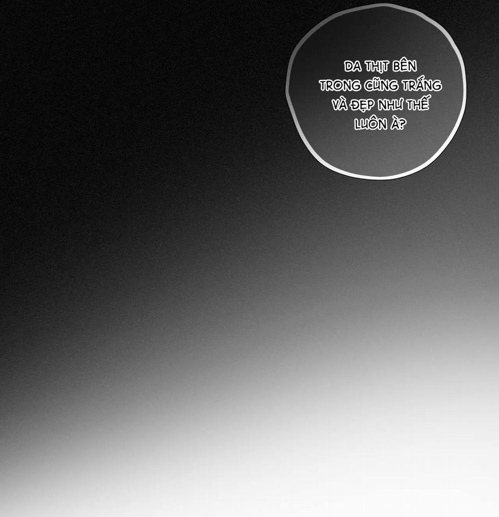 Tình Yêu Và Danh Vọng 17 trang 31