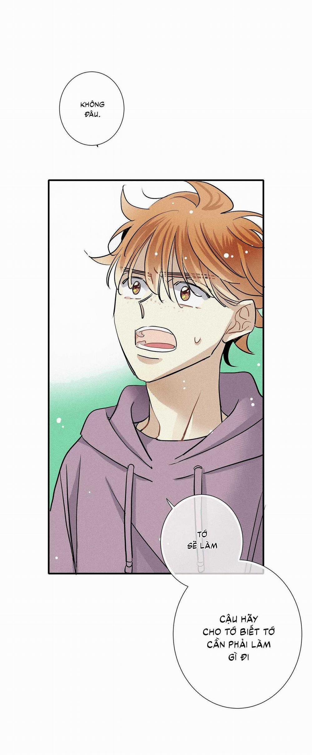 Tình Yêu Và Danh Vọng 64 trang 24