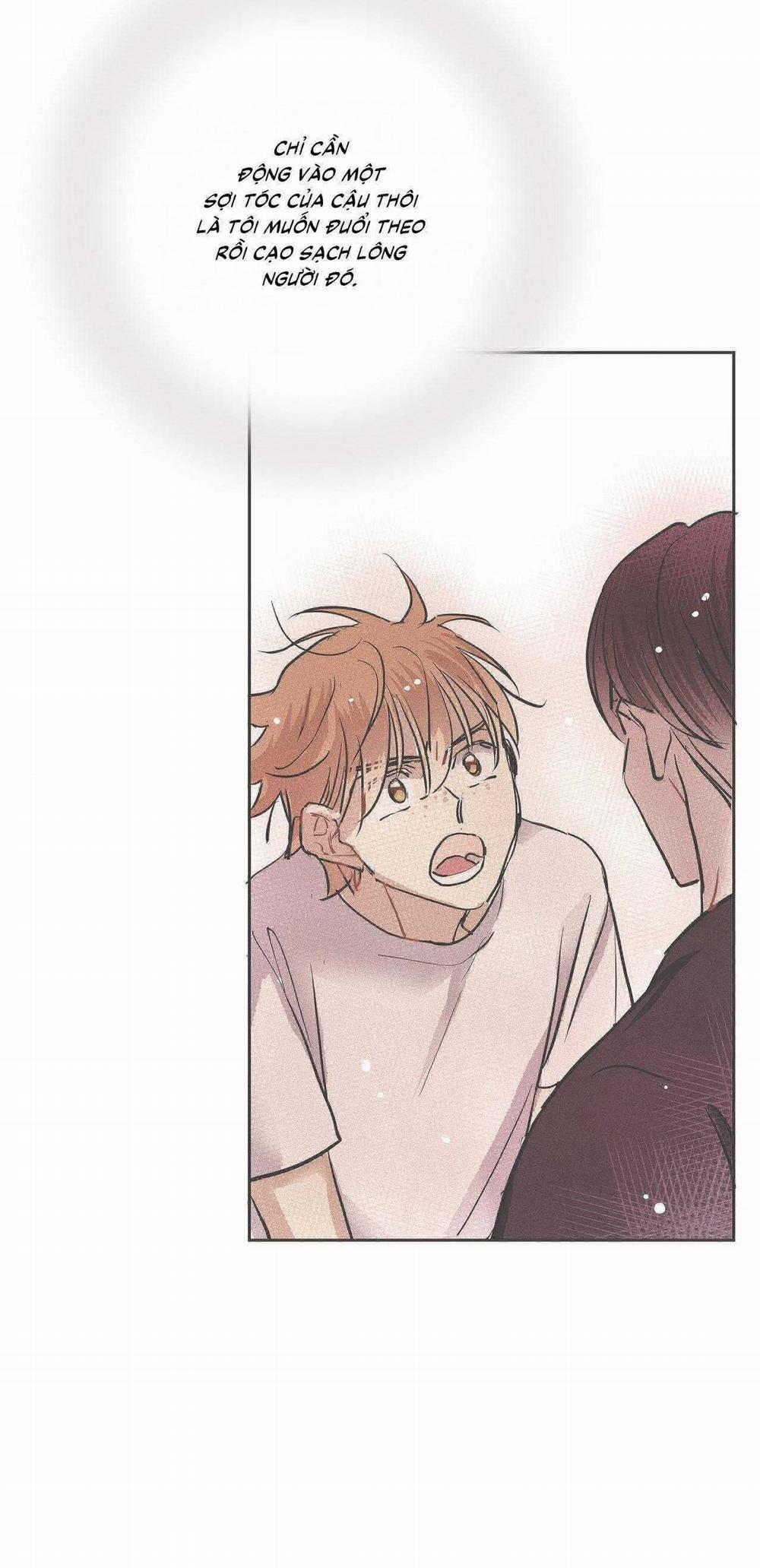 Tình Yêu Và Danh Vọng 68 trang 40