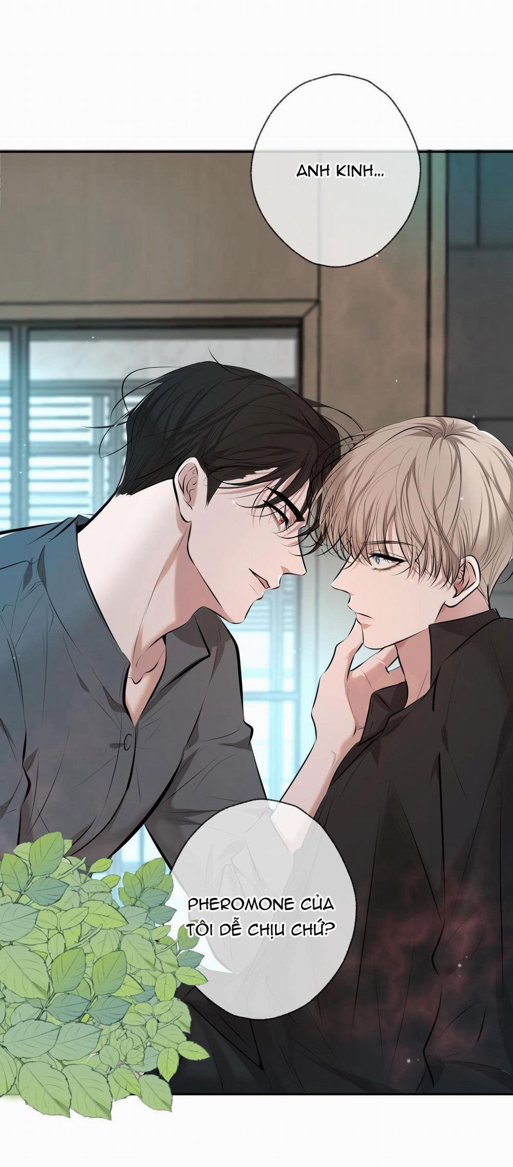 TÌNH YÊU VÀ SỰ CHẾT CHÓC 3 trang 4