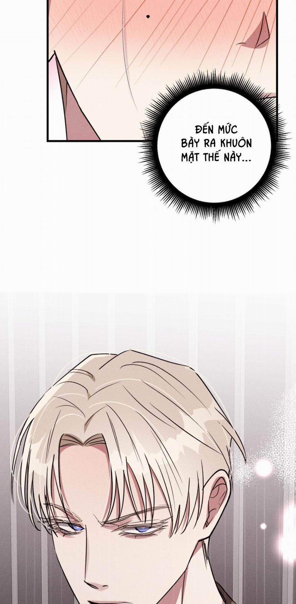 TÌNH YÊU VỠ ÒA 8 trang 11