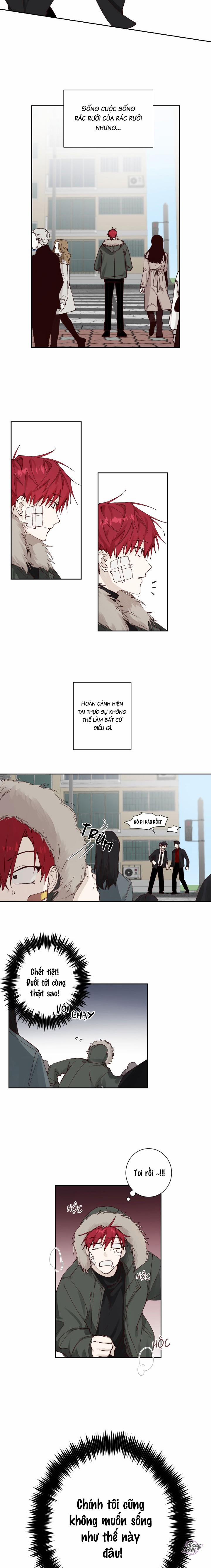 Tình Yêu Vô Trách Nhiệm 1 trang 4