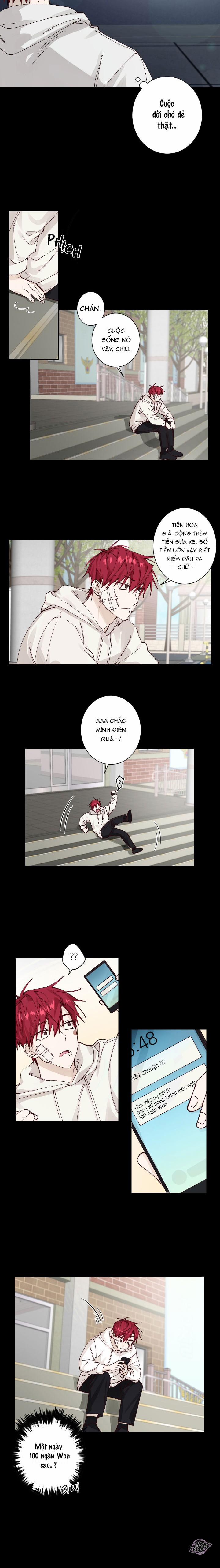 Tình Yêu Vô Trách Nhiệm 1 trang 8