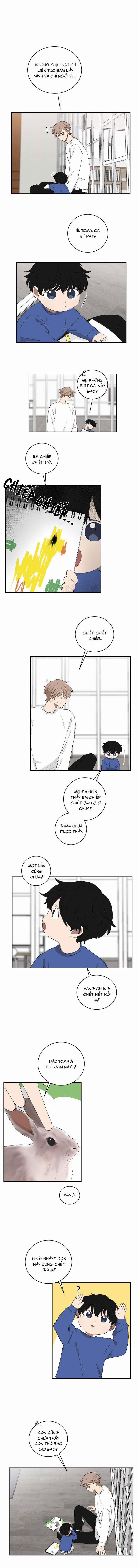 Tình Yêu YAKUZA 20 trang 2