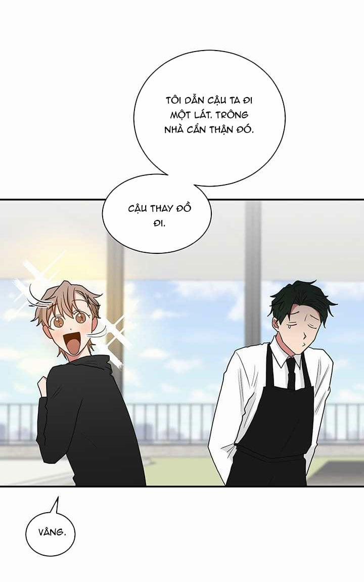 Tình Yêu YAKUZA 30 trang 21