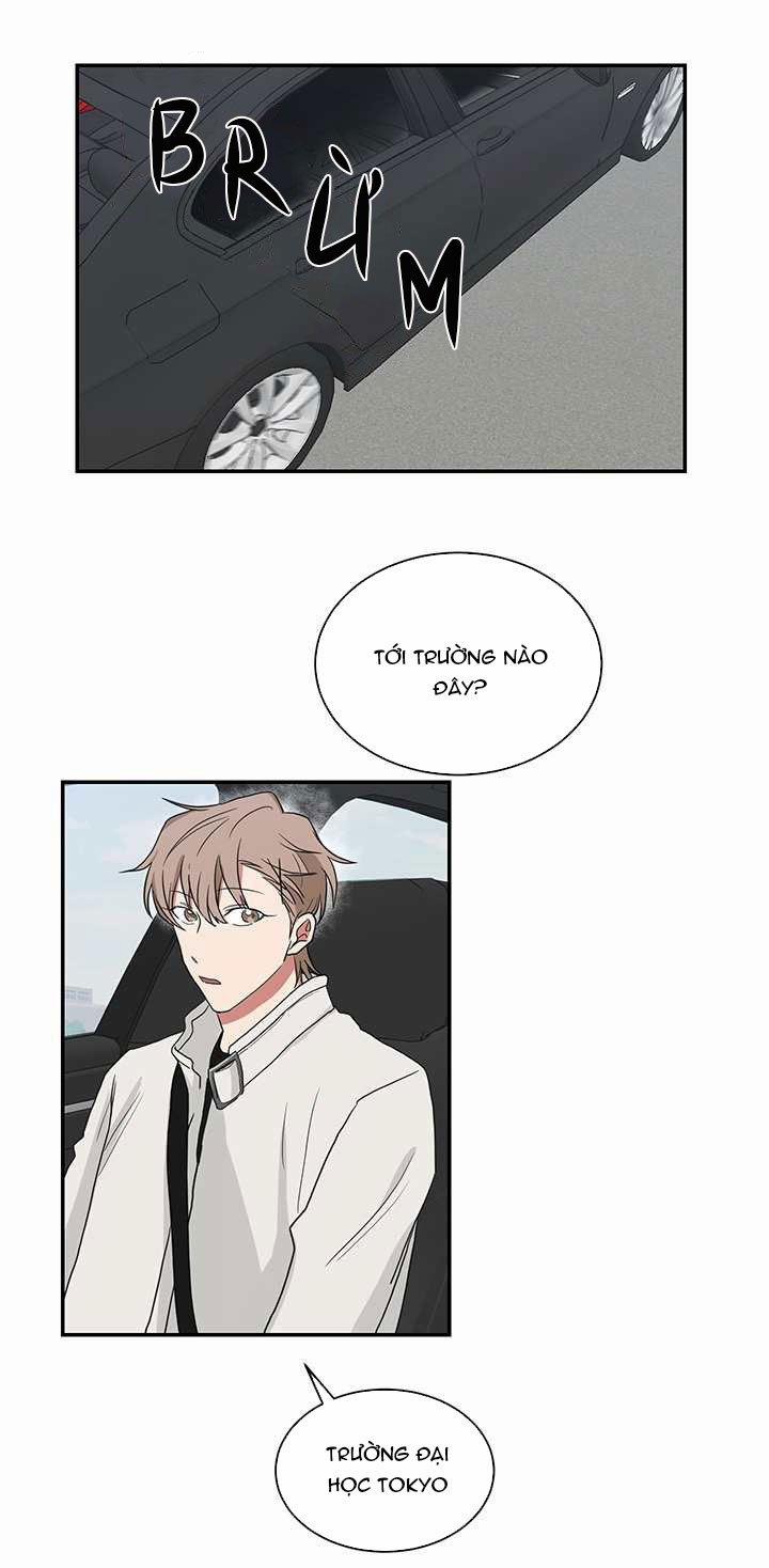 Tình Yêu YAKUZA 30 trang 24