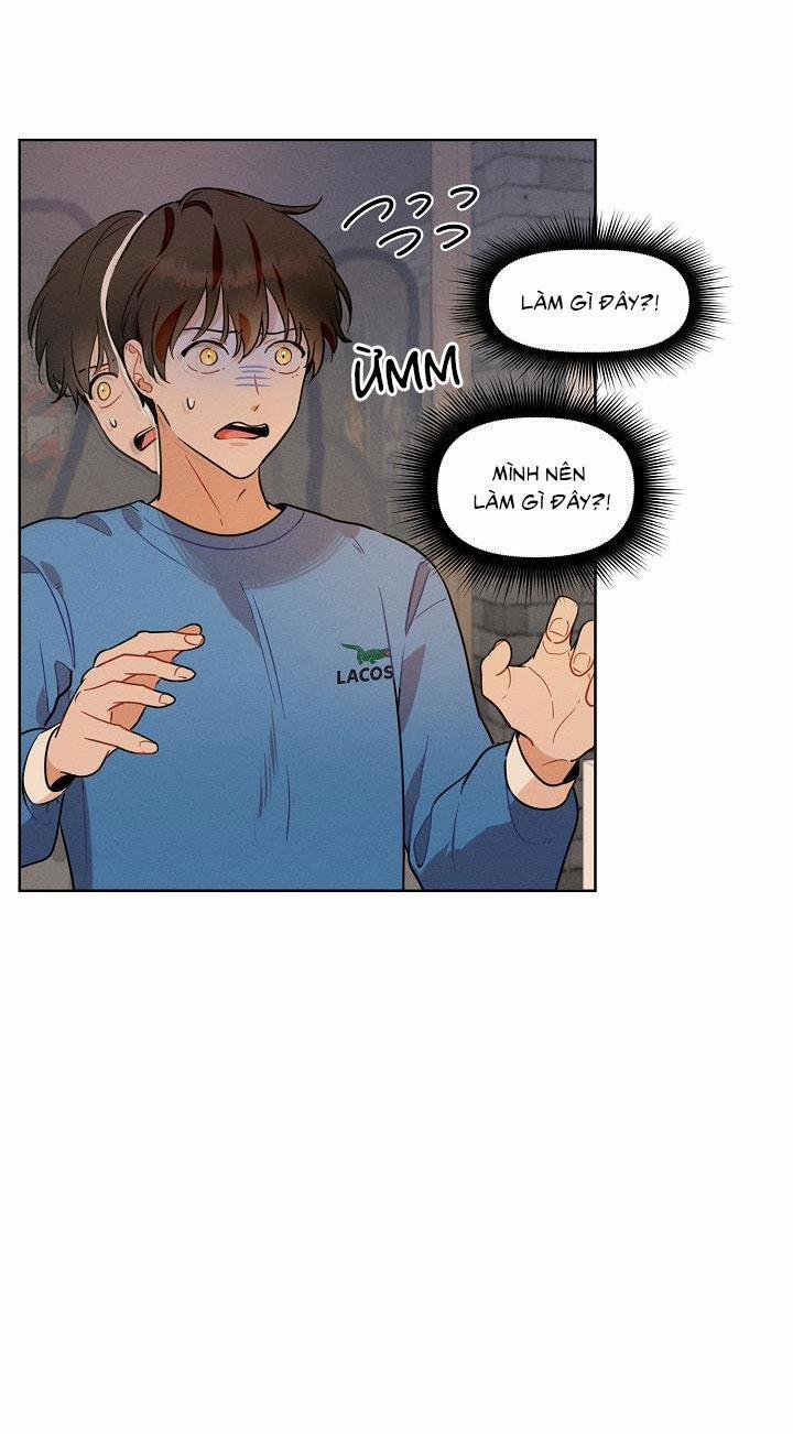 Tố Cáo Sếp Tôi 13 trang 24