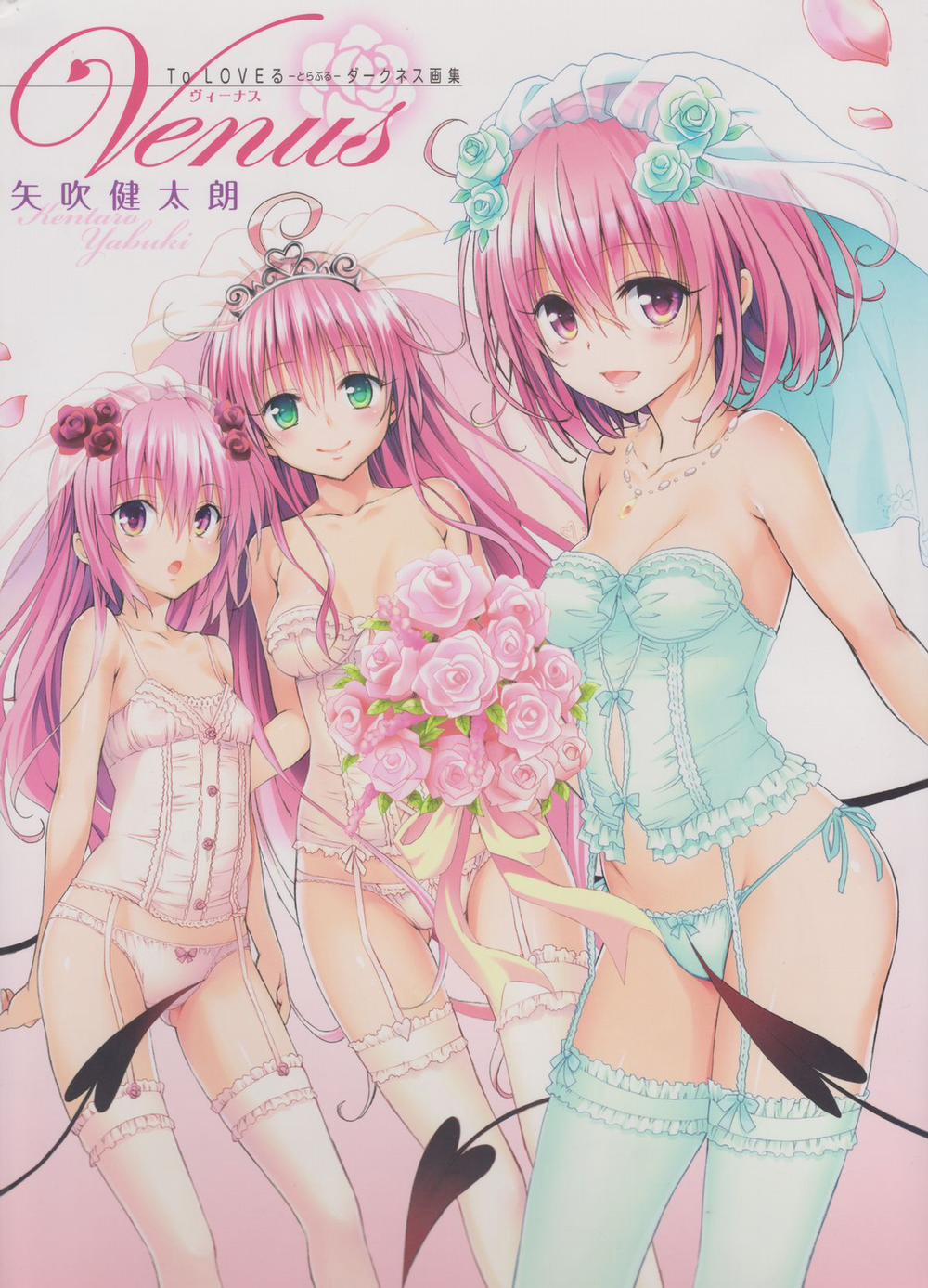 To Love-Ru Darkness Gashuu Venus Artist 1 trang 0