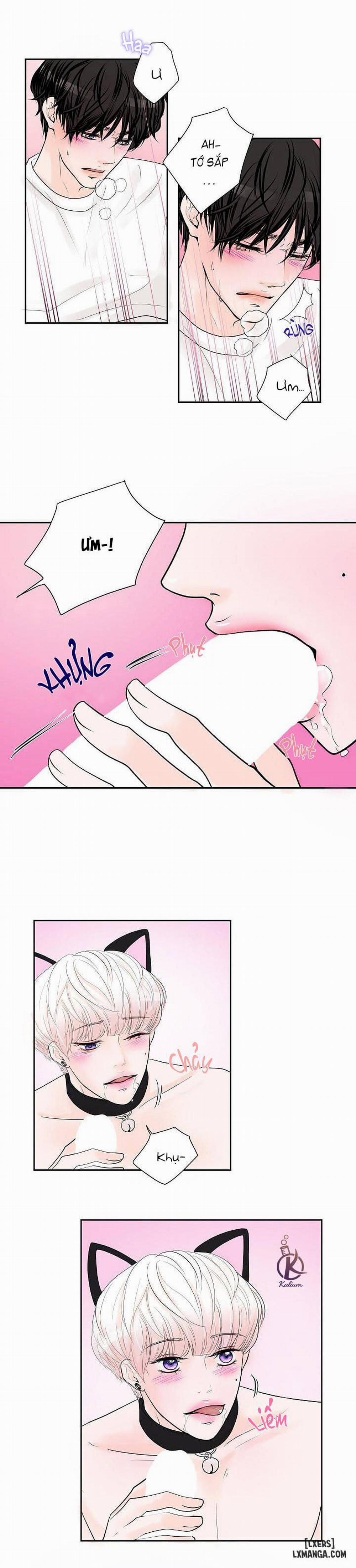 Tò mò về Review ư? 23 trang 14