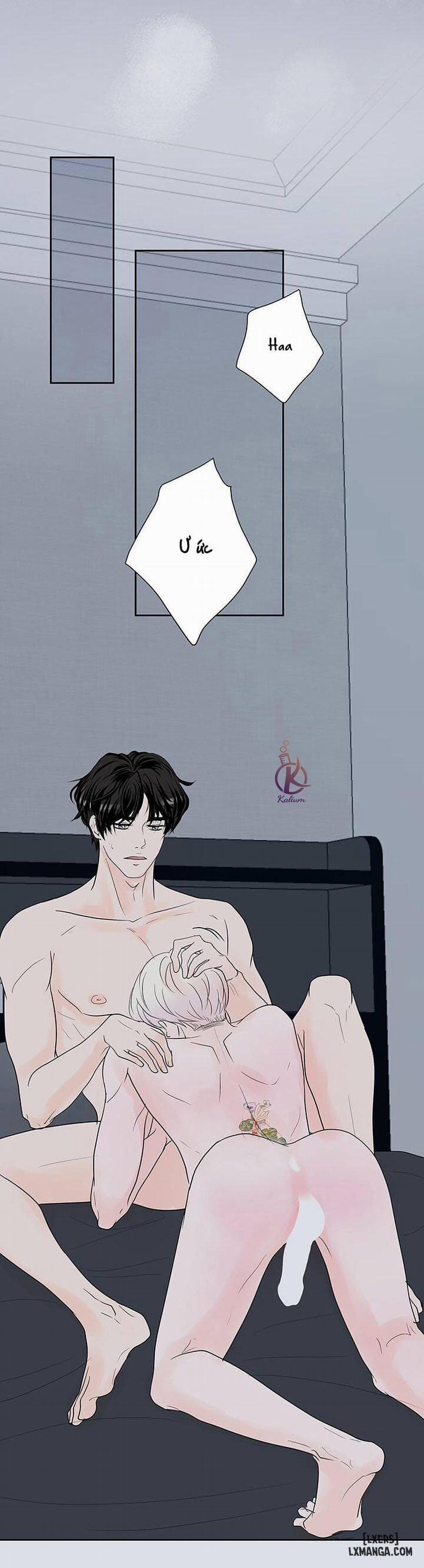 Tò mò về Review ư? 33 trang 11