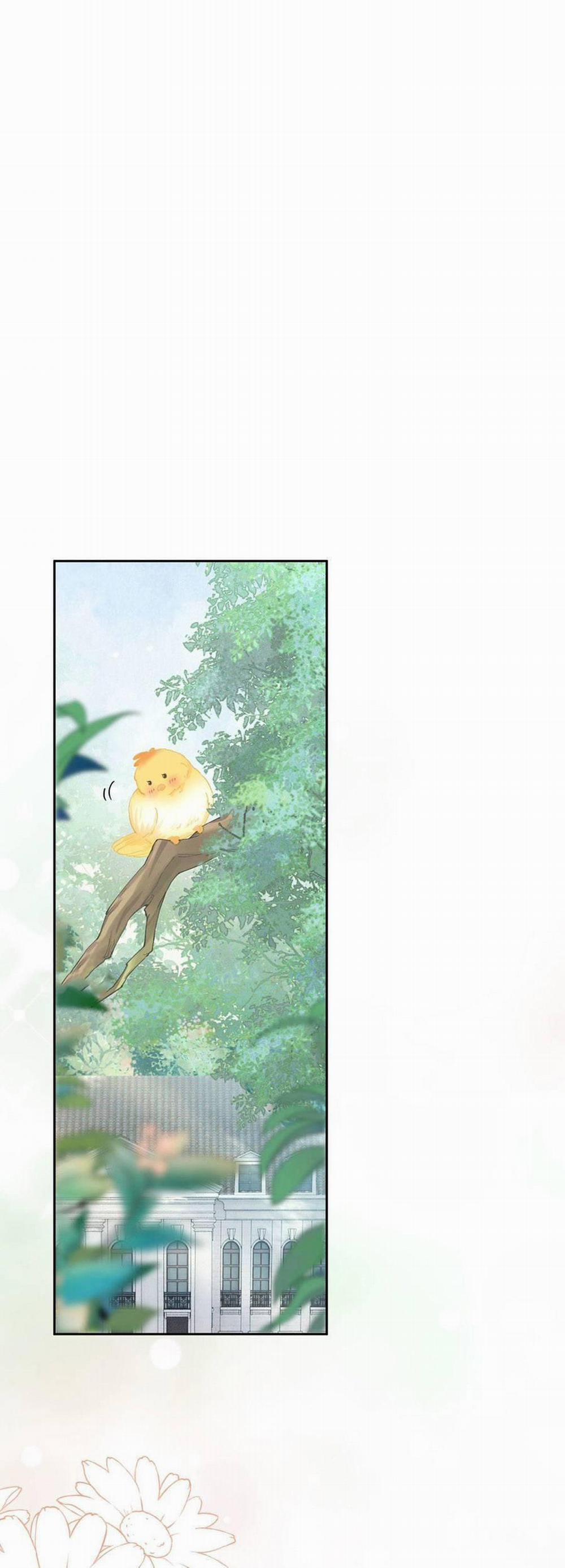 Tỏ Tình Với Kẻ Thù 16 trang 1