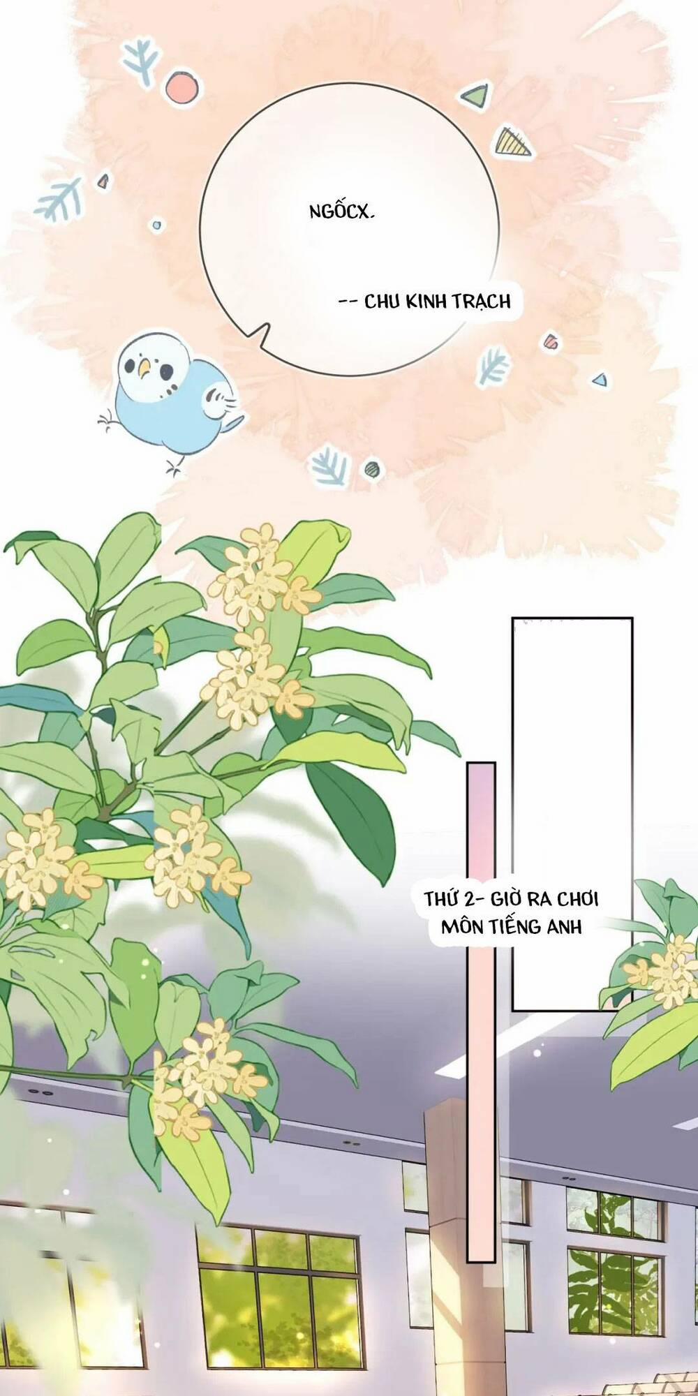 Tỏ Tình 20 trang 9