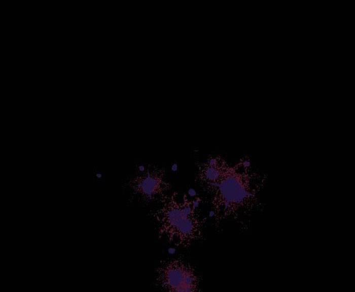 Tỏa Sáng Rực Rỡ 1.1 trang 11