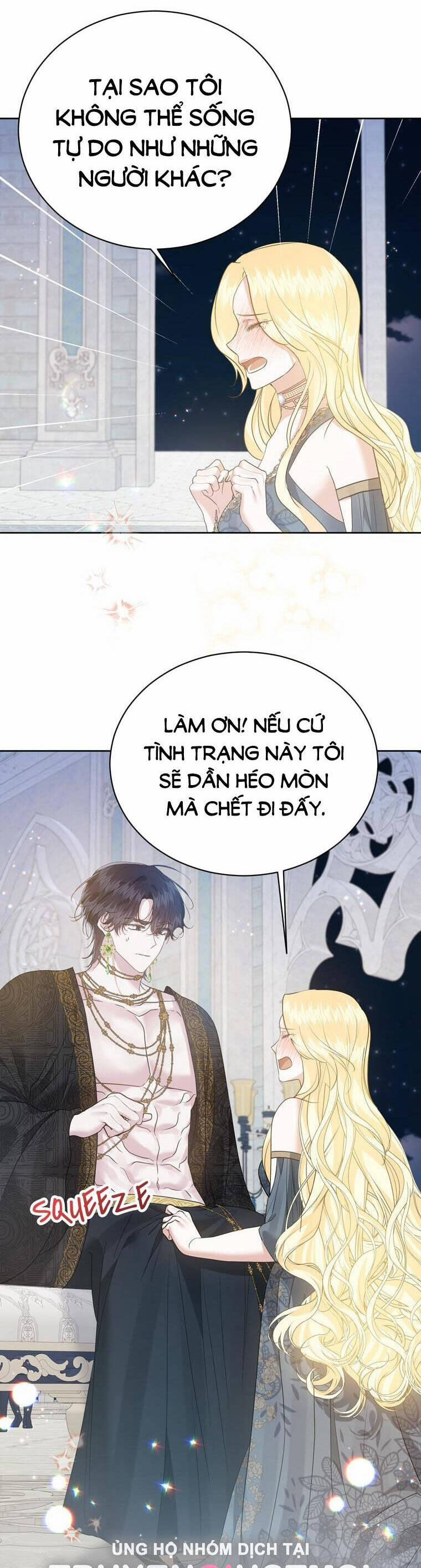 Tỏa Sáng Rực Rỡ 26.2 trang 2