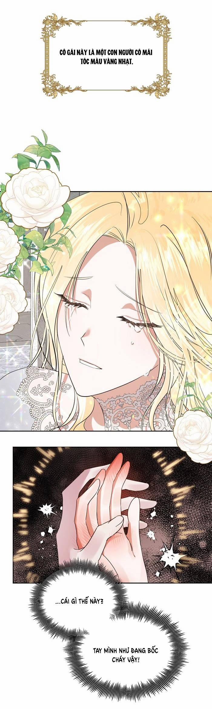 Tỏa Sáng Rực Rỡ 3.1 trang 3