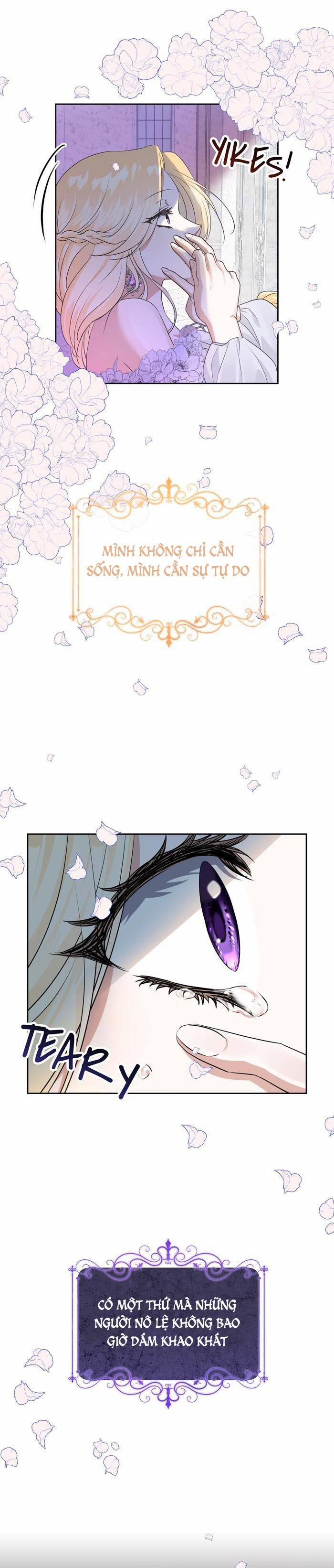 Tỏa Sáng Rực Rỡ 7.2 trang 12