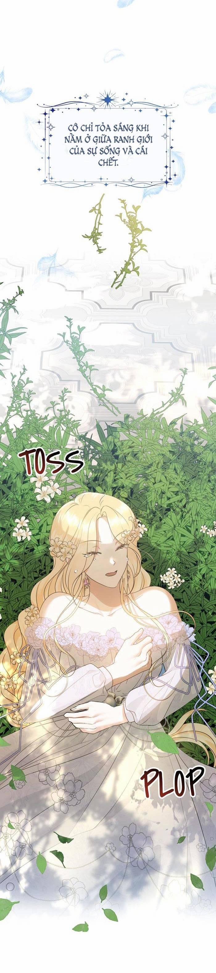 Tỏa Sáng Rực Rỡ 8.1 trang 17