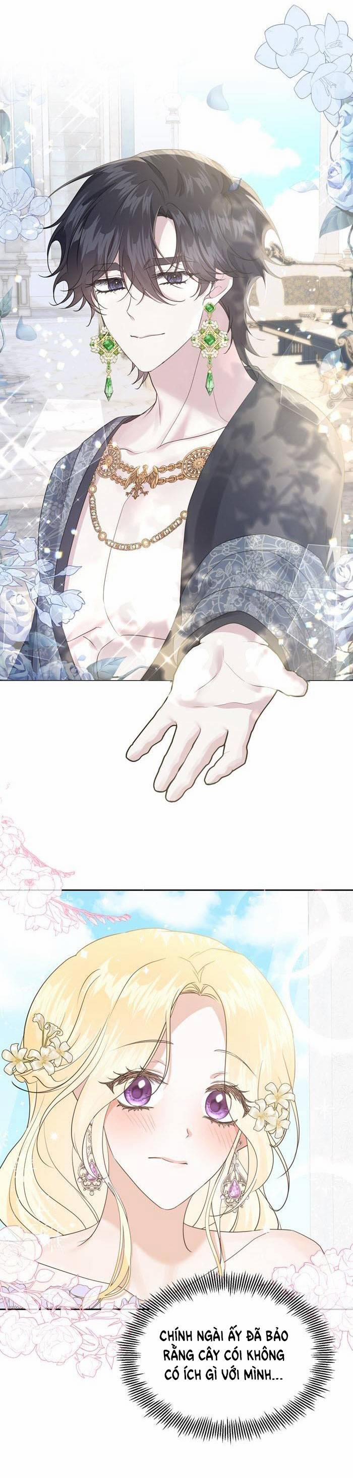 Tỏa Sáng Rực Rỡ 8.1 trang 2