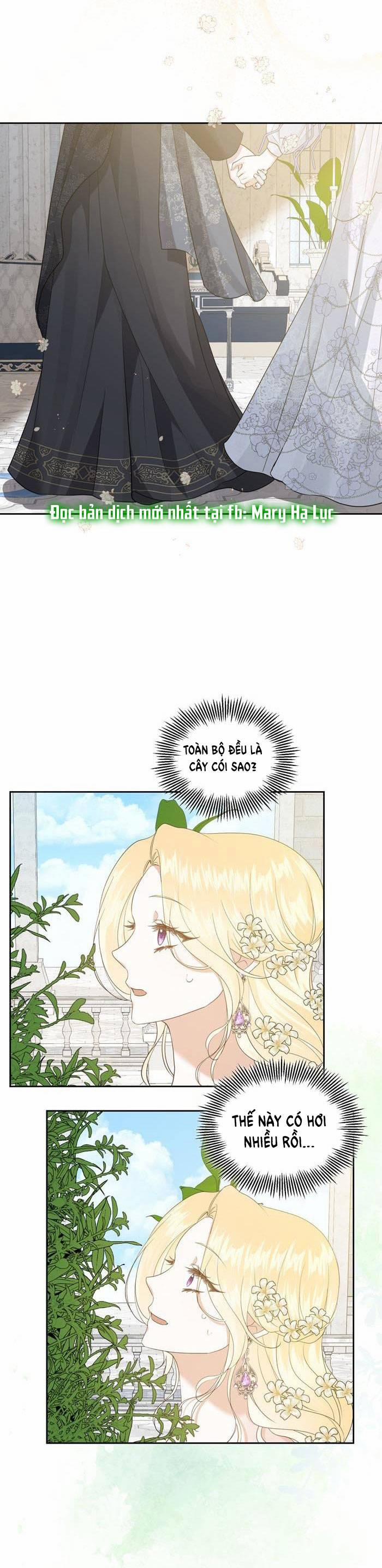 Tỏa Sáng Rực Rỡ 8.1 trang 4