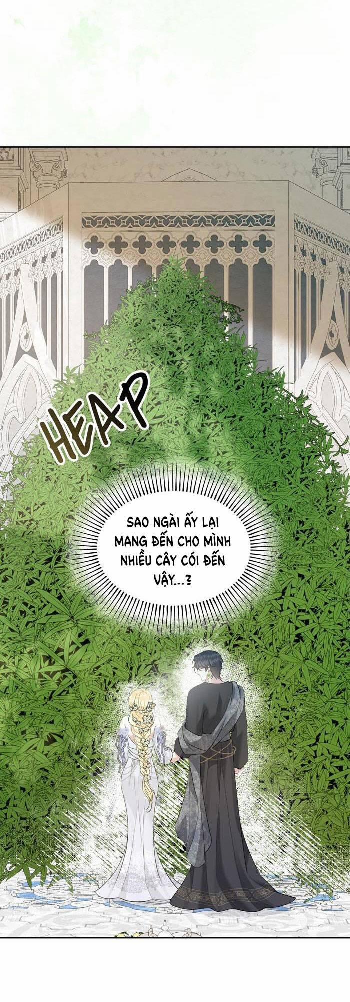 Tỏa Sáng Rực Rỡ 8.1 trang 5