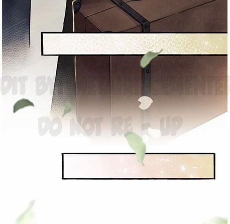 Toái Ngọc Đầu Châu 1 trang 46