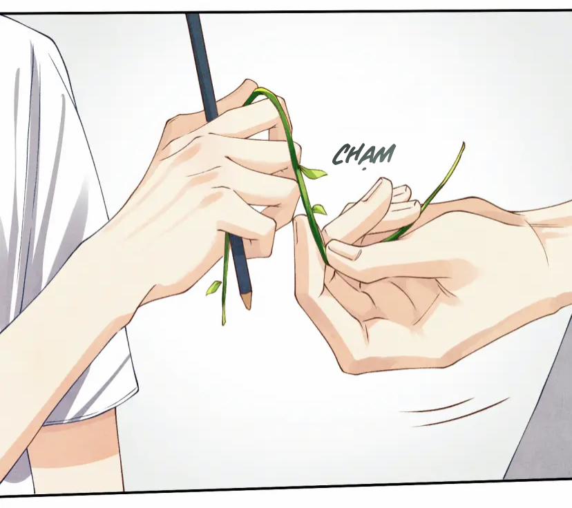 Toái Ngọc Đầu Châu 11 trang 20