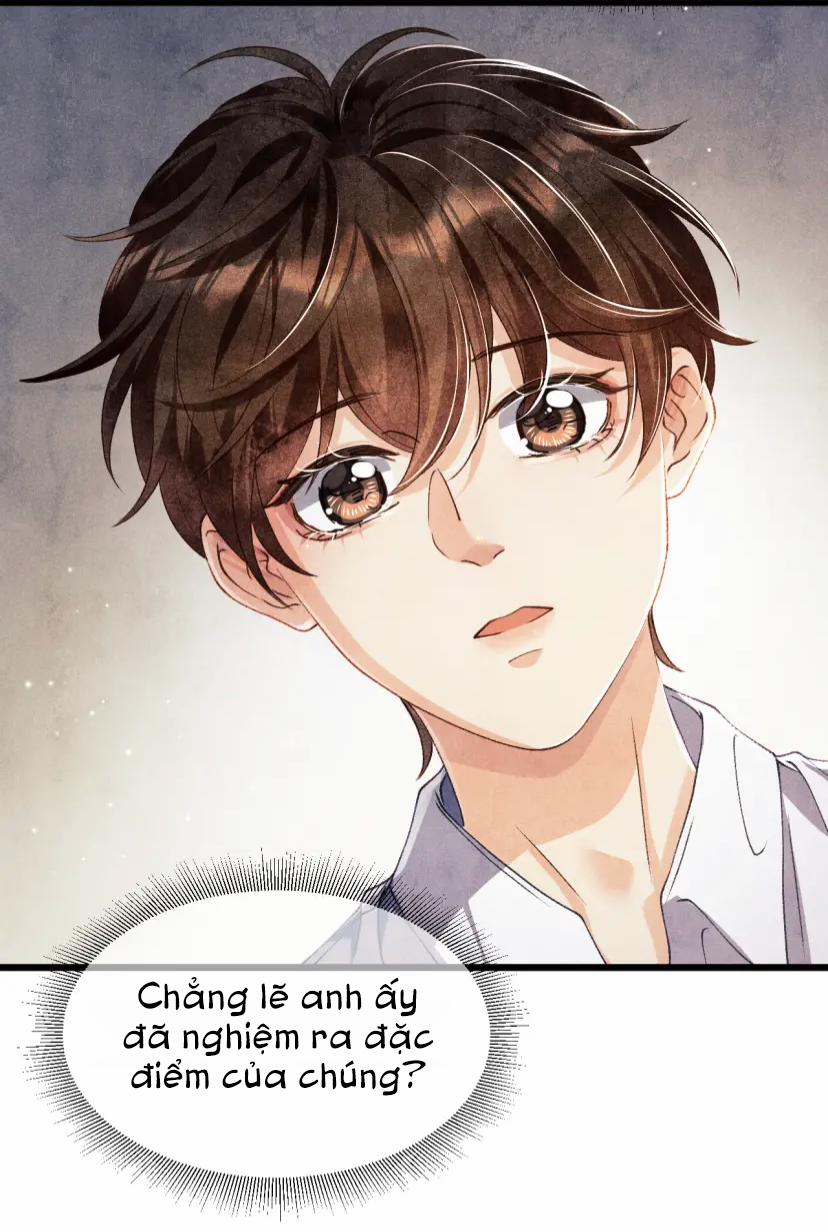 Toái Ngọc Đầu Châu 12 trang 26