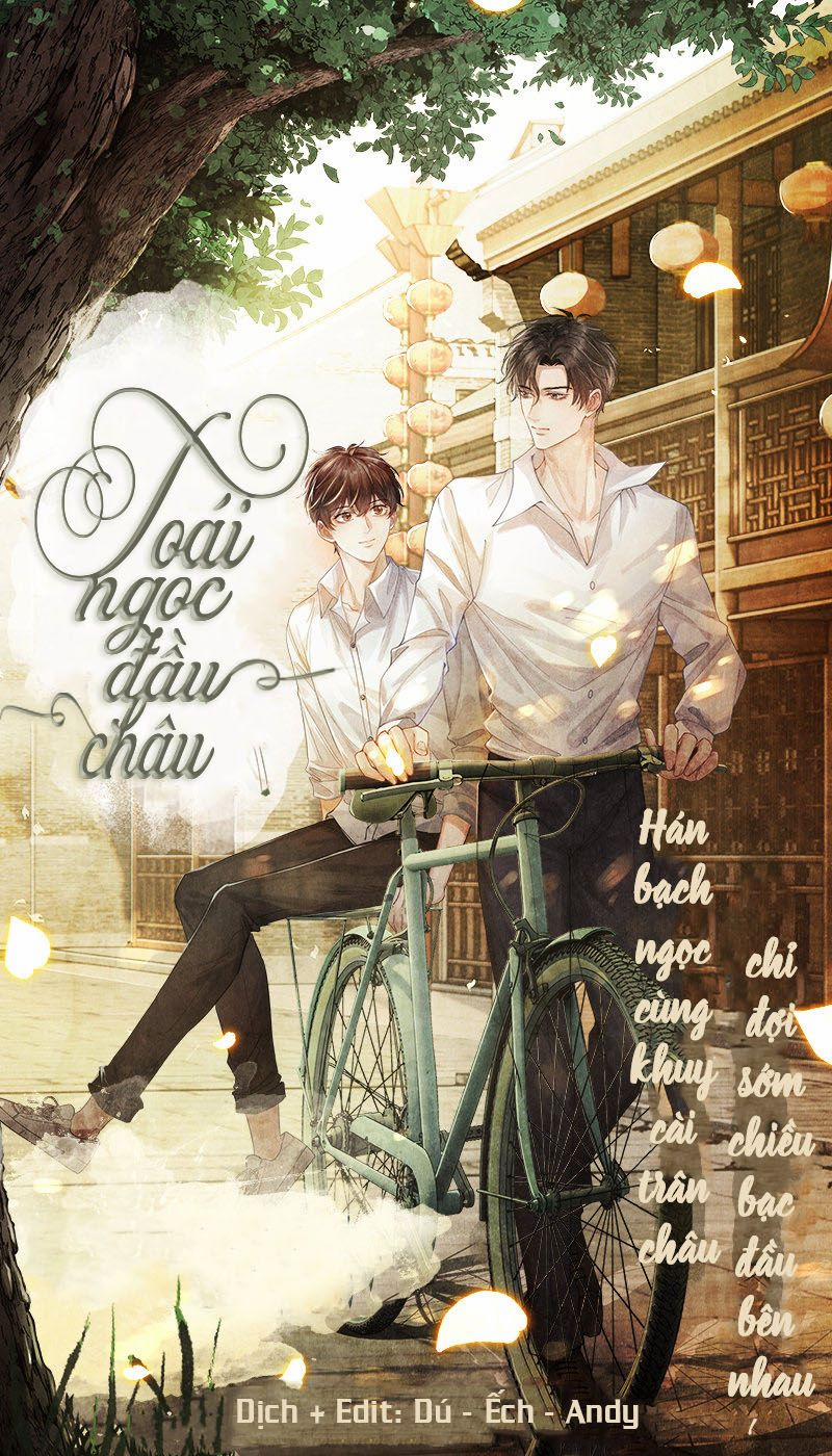 Toái Ngọc Đầu Châu 19 trang 0