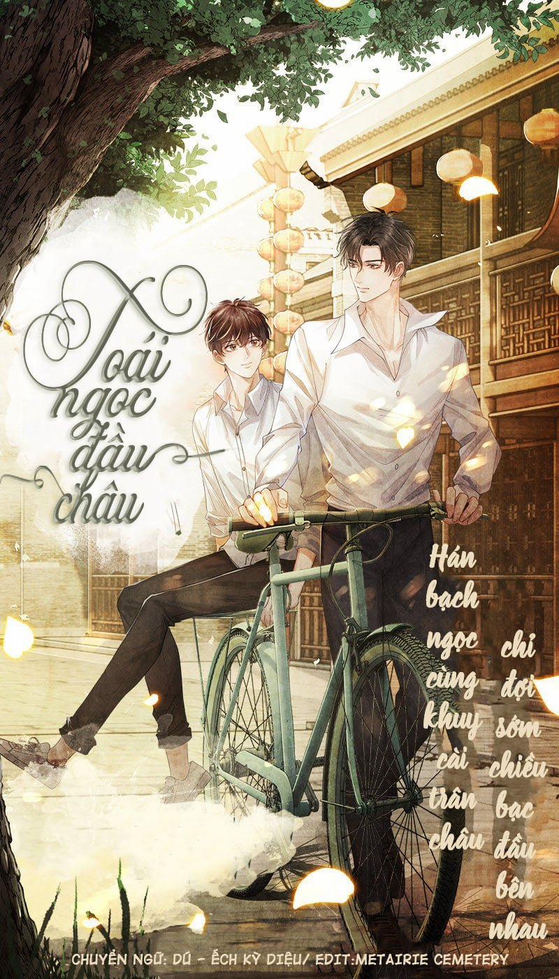 Toái Ngọc Đầu Châu 2 trang 0