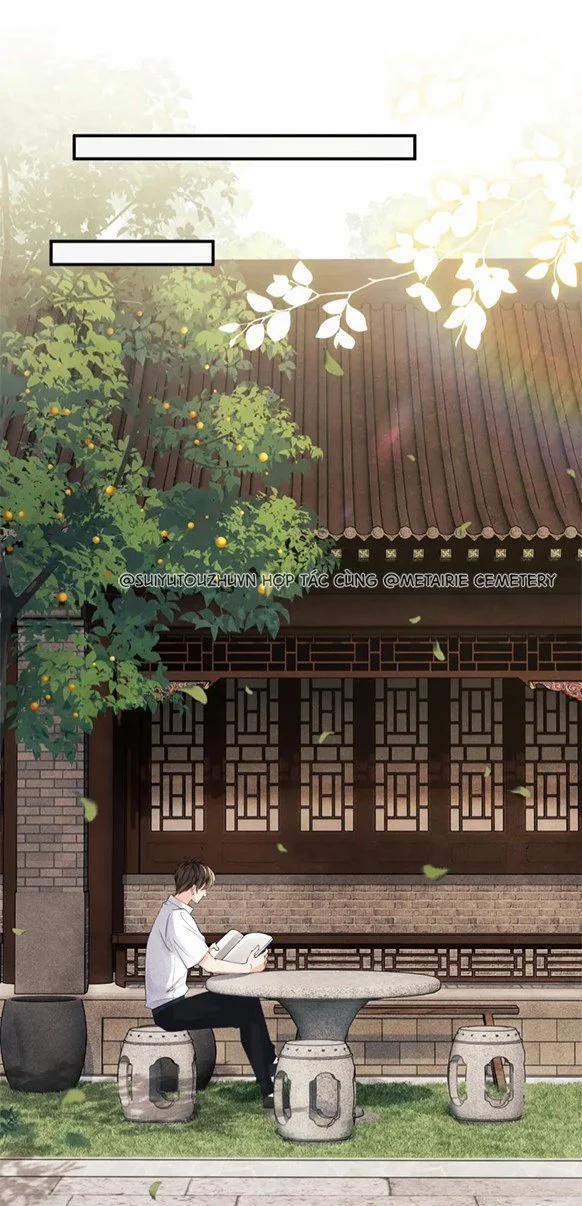 Toái Ngọc Đầu Châu 5 trang 11