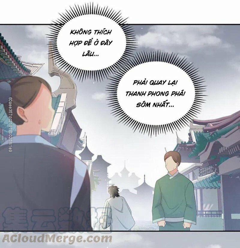 Toàn Bộ Tu Chân Giới Muội Tử Muốn Bắt Ta 11 trang 13