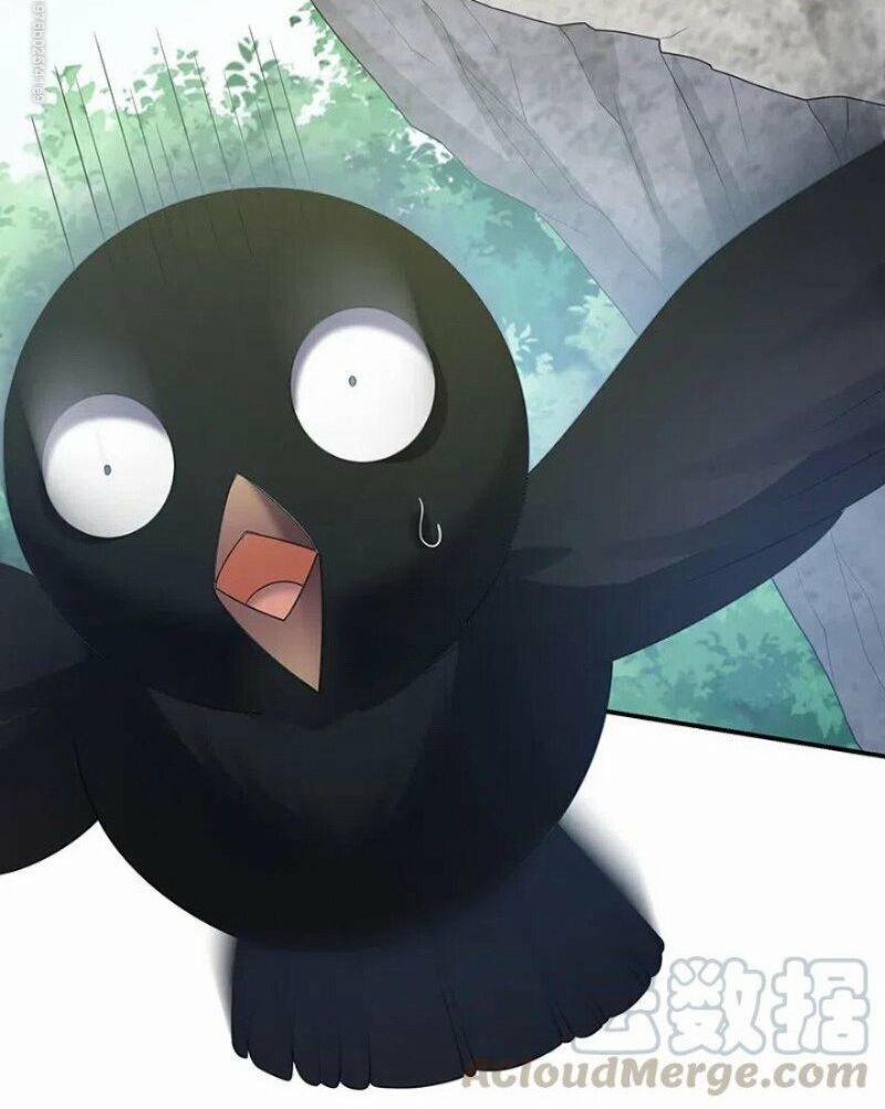 Toàn Bộ Tu Chân Giới Muội Tử Muốn Bắt Ta 24 trang 38