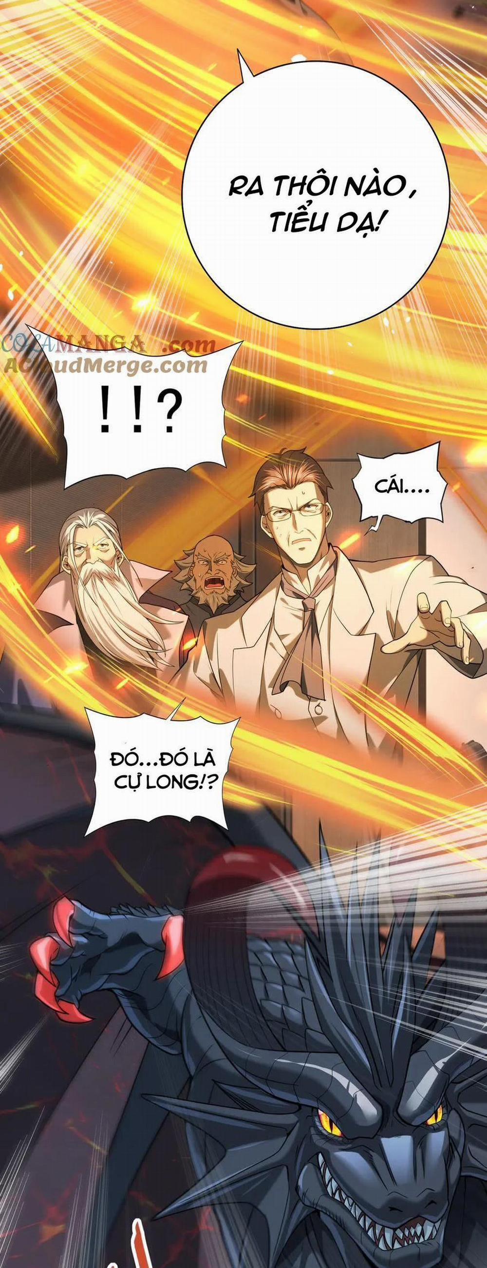 Toàn Dân Chuyển Chức: Ngự Long Sư Là Chức Nghiệp Yếu Nhất? 14 trang 24