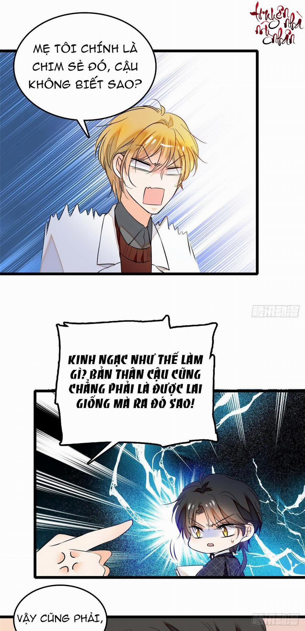 Toàn Mạng Đều Là Fan Cp Của Tôi Với Ảnh Đế 12 trang 9