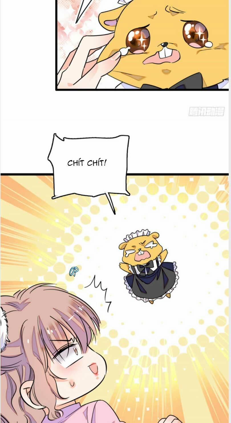 Toàn Mạng Đều Là Fan Cp Của Tôi Với Ảnh Đế 168.1 trang 11