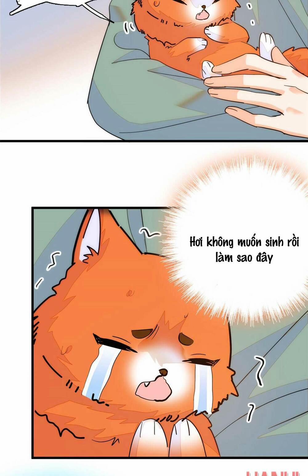 Toàn Mạng Đều Là Fan Cp Của Tôi Với Ảnh Đế 233 trang 72