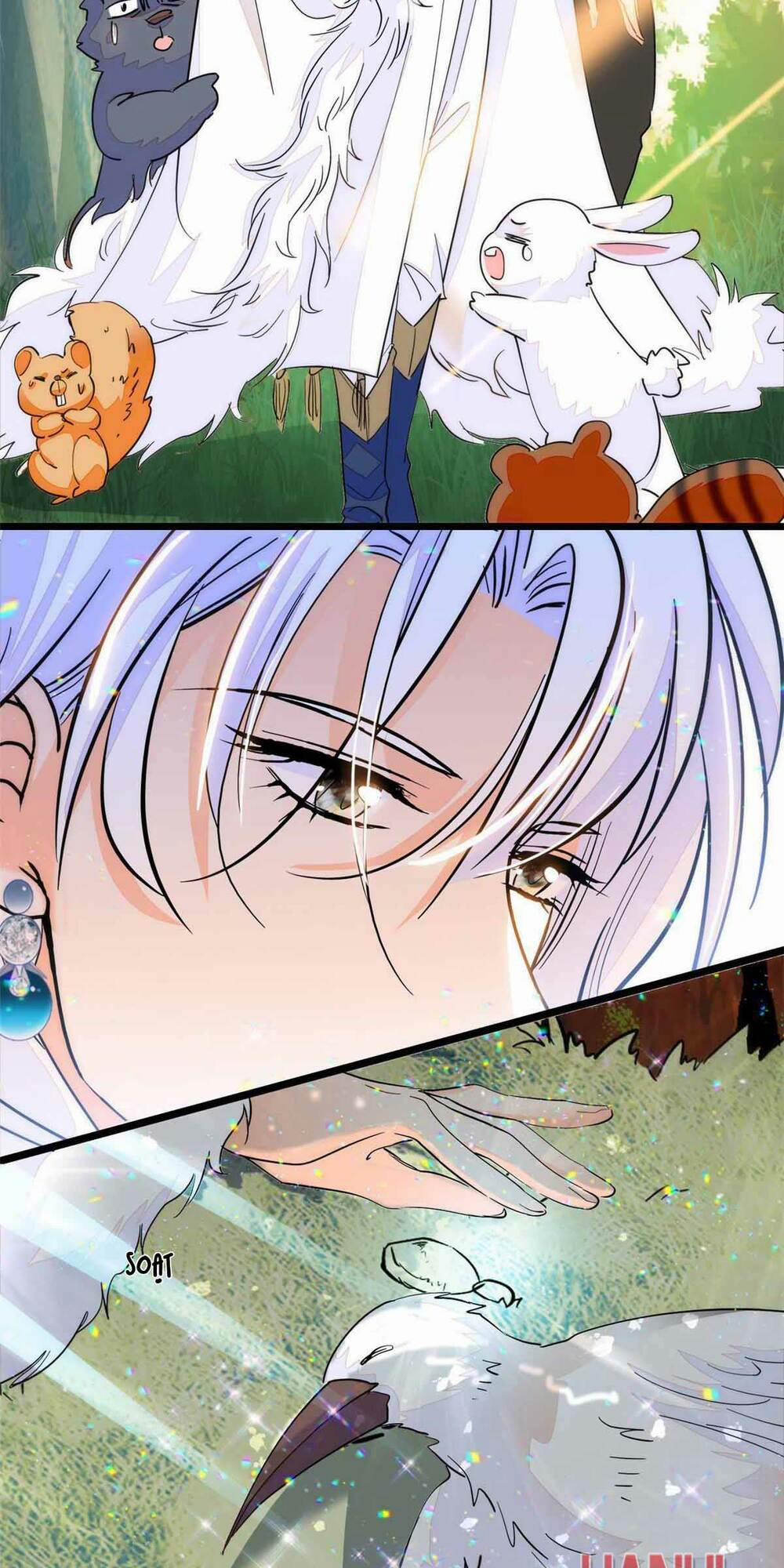 Toàn Mạng Đều Là Fan Cp Của Tôi Với Ảnh Đế 240 trang 6