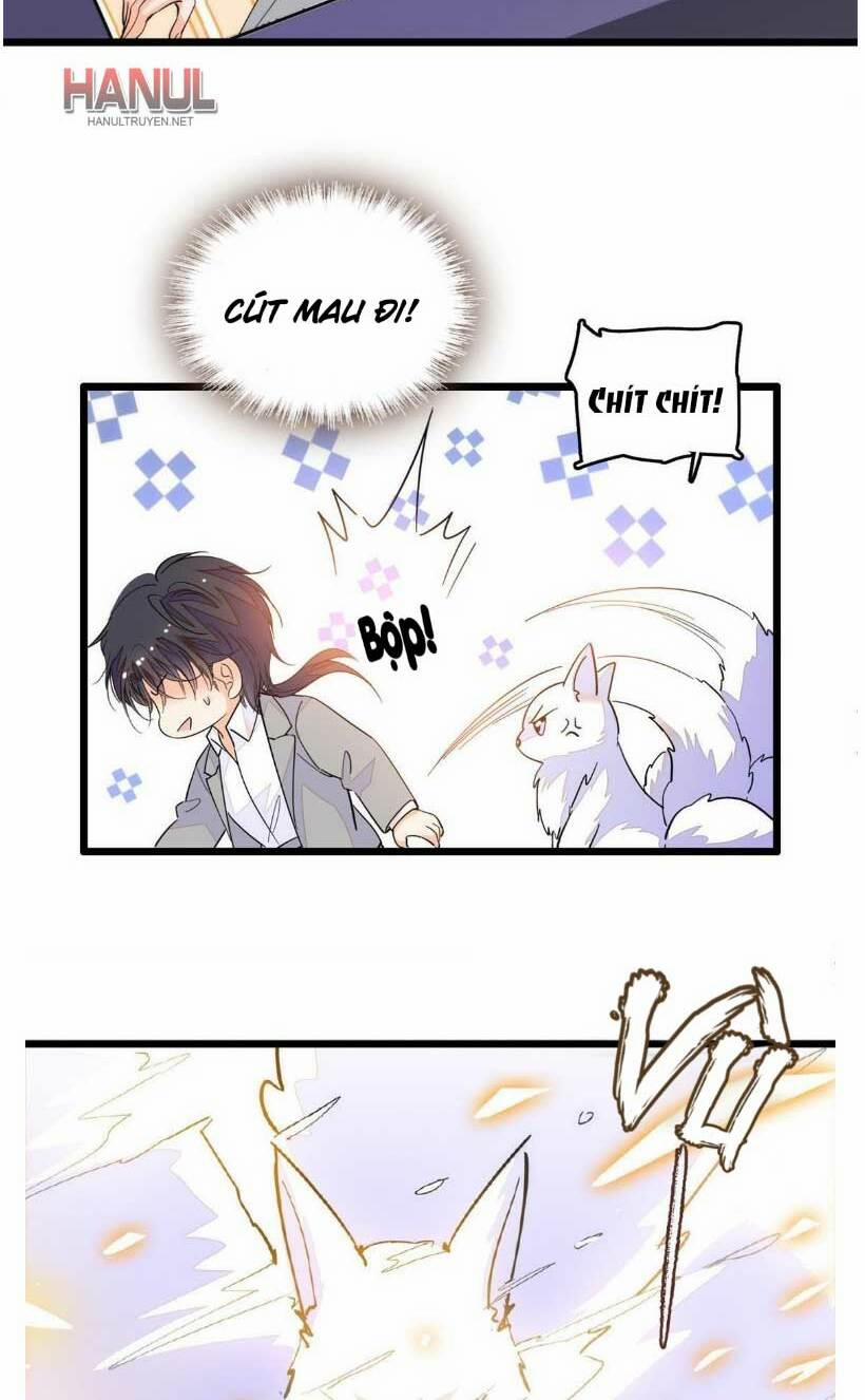 Toàn Mạng Đều Là Fan Cp Của Tôi Với Ảnh Đế 243 trang 8