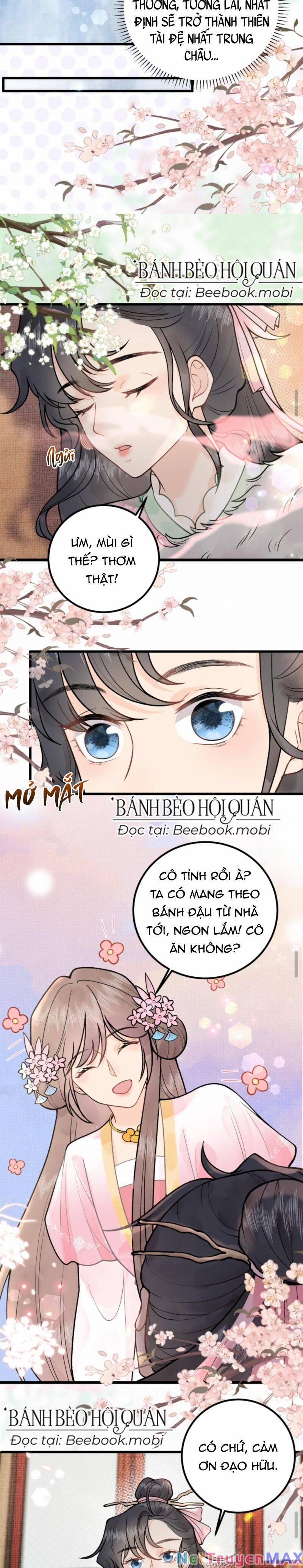 Toàn Tông Môn Đều Là Kẻ Si Tình, Chỉ Có Ta Là Tỉnh Táo 11 trang 4